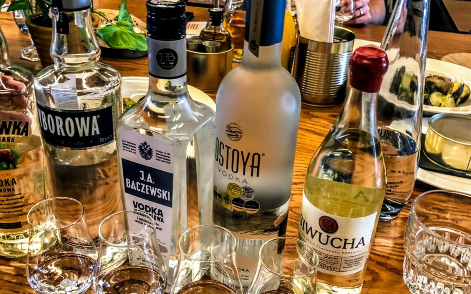Degustazioni di vodka a Breslavia - image 3