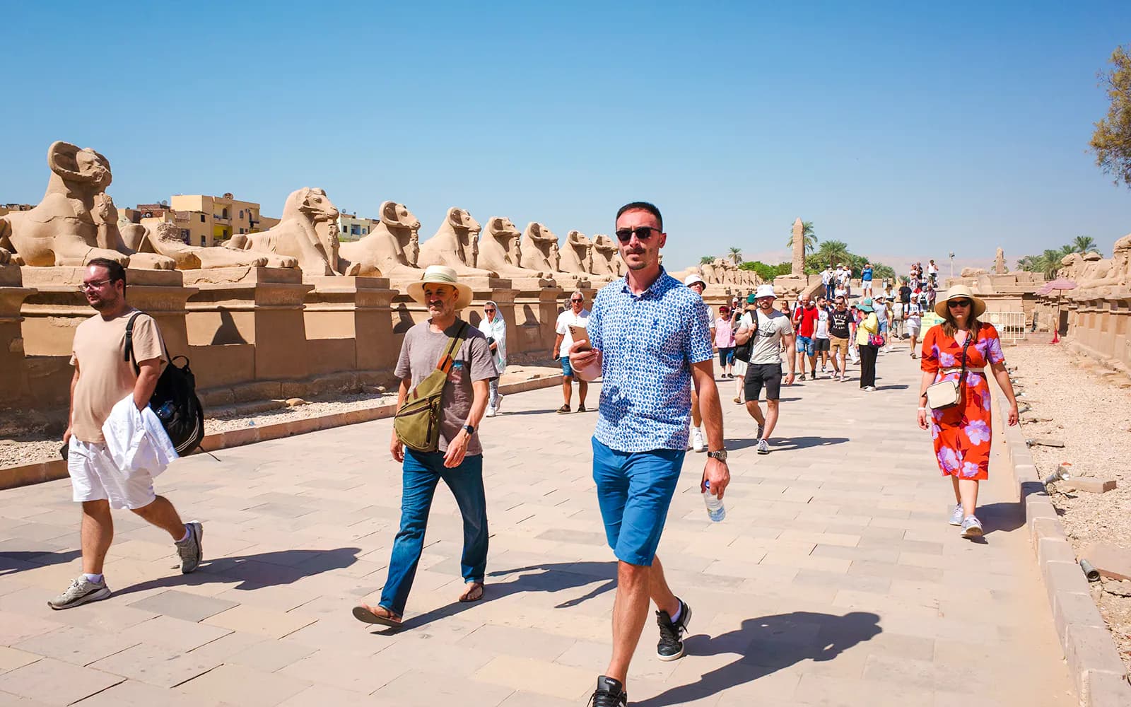 From Cairo: Private Full-Day All-Inclusive Tour of Luxor West & East Banks with Tickets, Transfers and Lunch - image 8