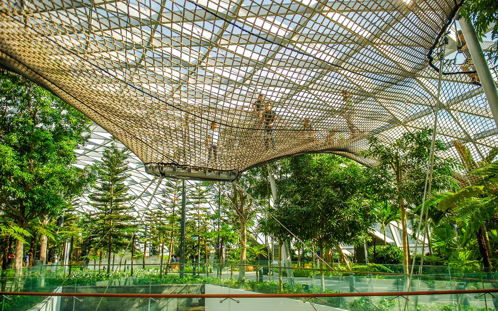 Jewel Changi Canopy Park bilety z siatkami
