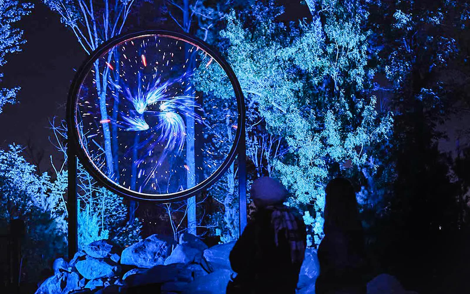 Entradas para Astra Lumina en el Santuario de Vida Silvestre de Currumbin - image 3