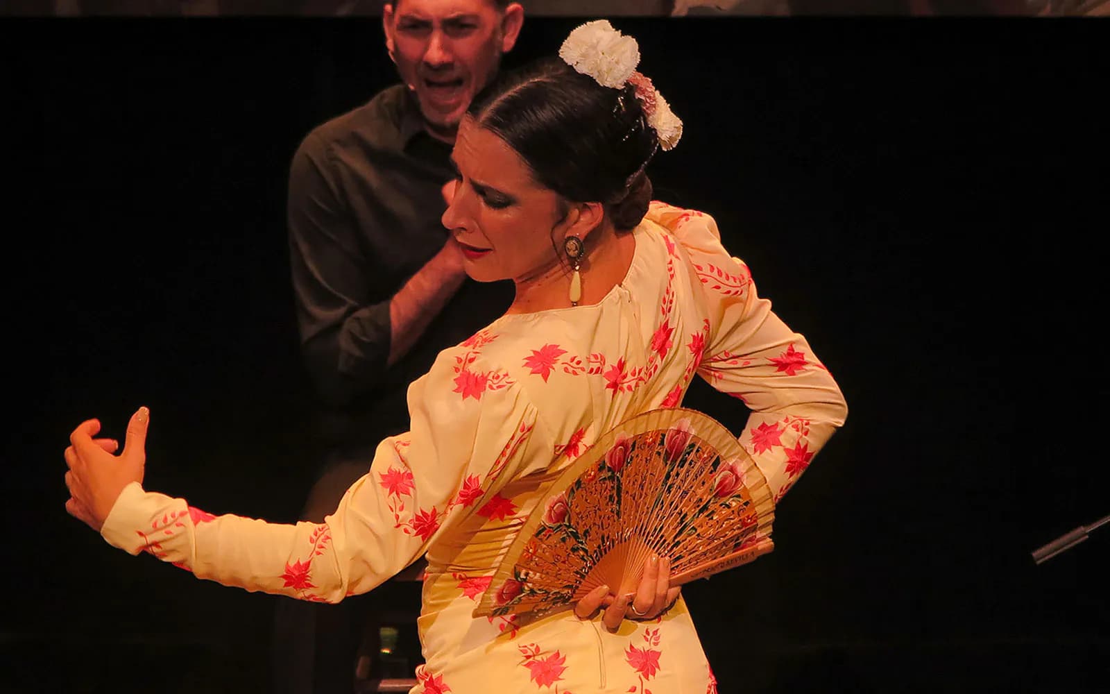 Triana Theater - Flamenco Show - image 9
