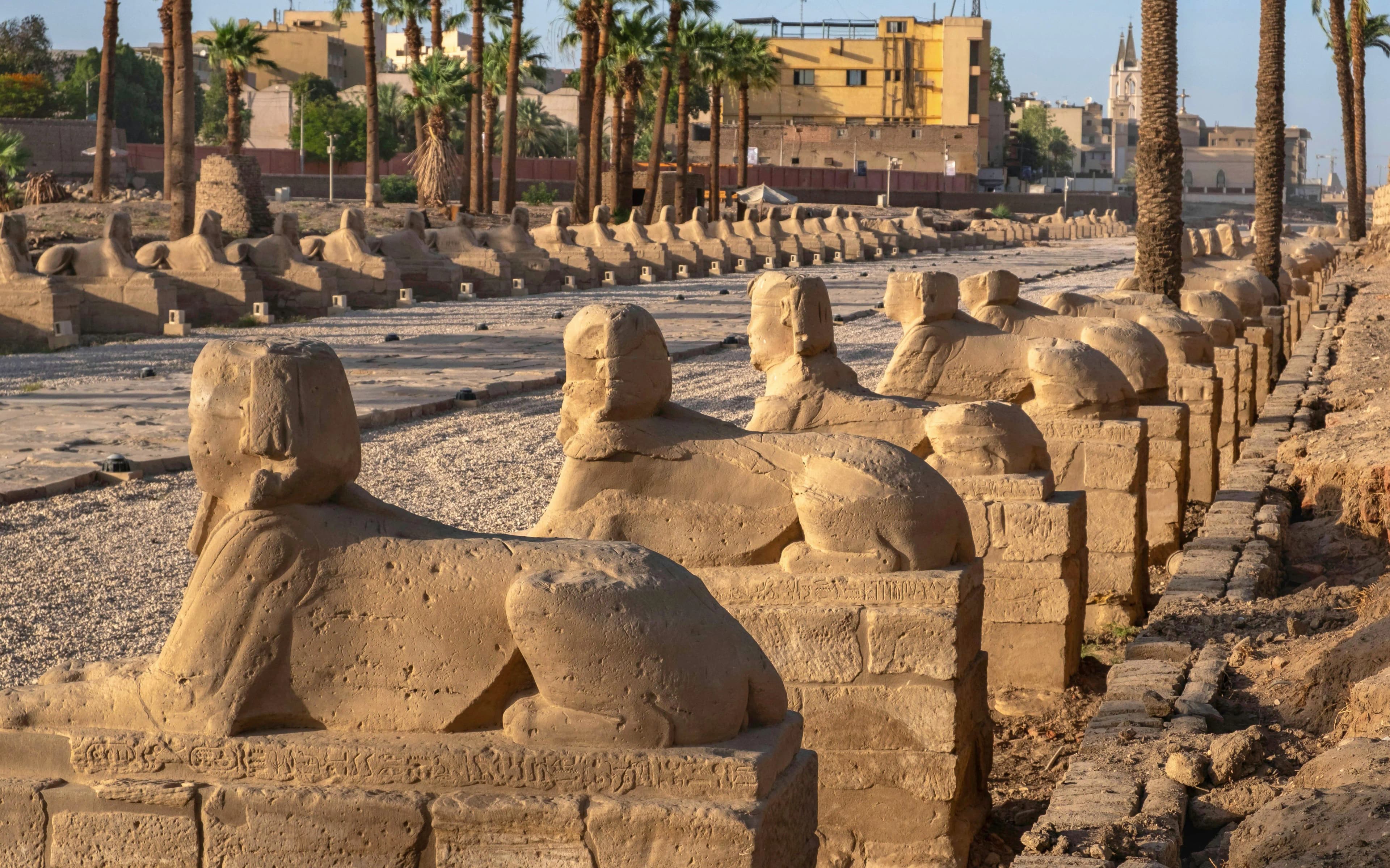 Luxor Sunrise Hot-Air Balloon + Full-Day East & West Banks Guided Tour with Optional Tickets - image 9