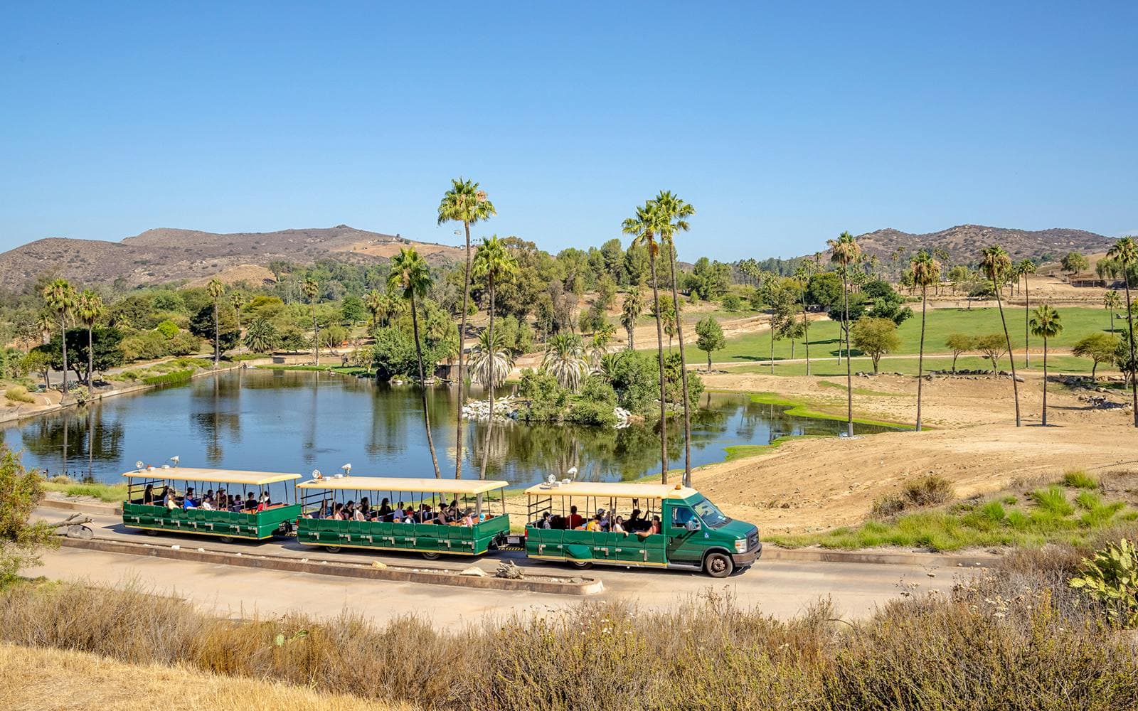 San Diego Zoo & Safari Park 2-Visit Pass