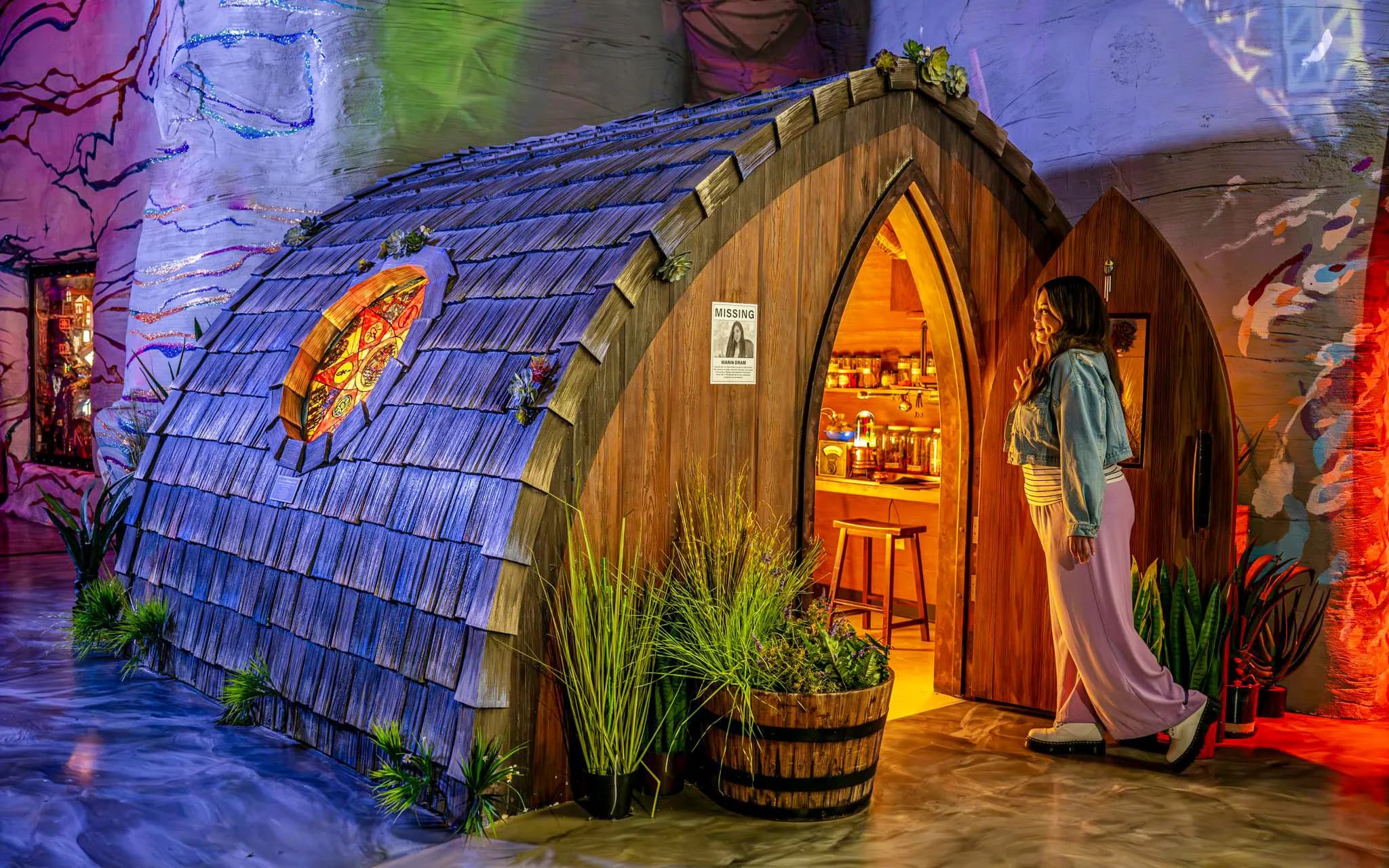 Billet d'admission pour l'Omega Mart de Meow Wolf - image 6