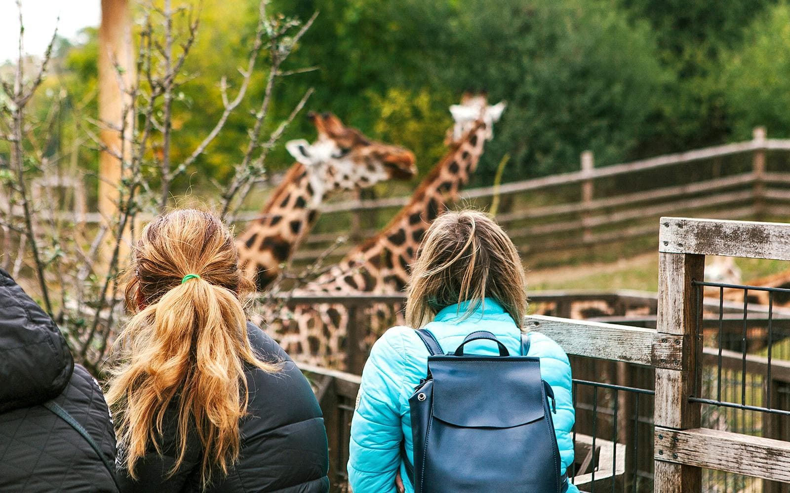 Biglietti per lo zoo di Praga - image 8