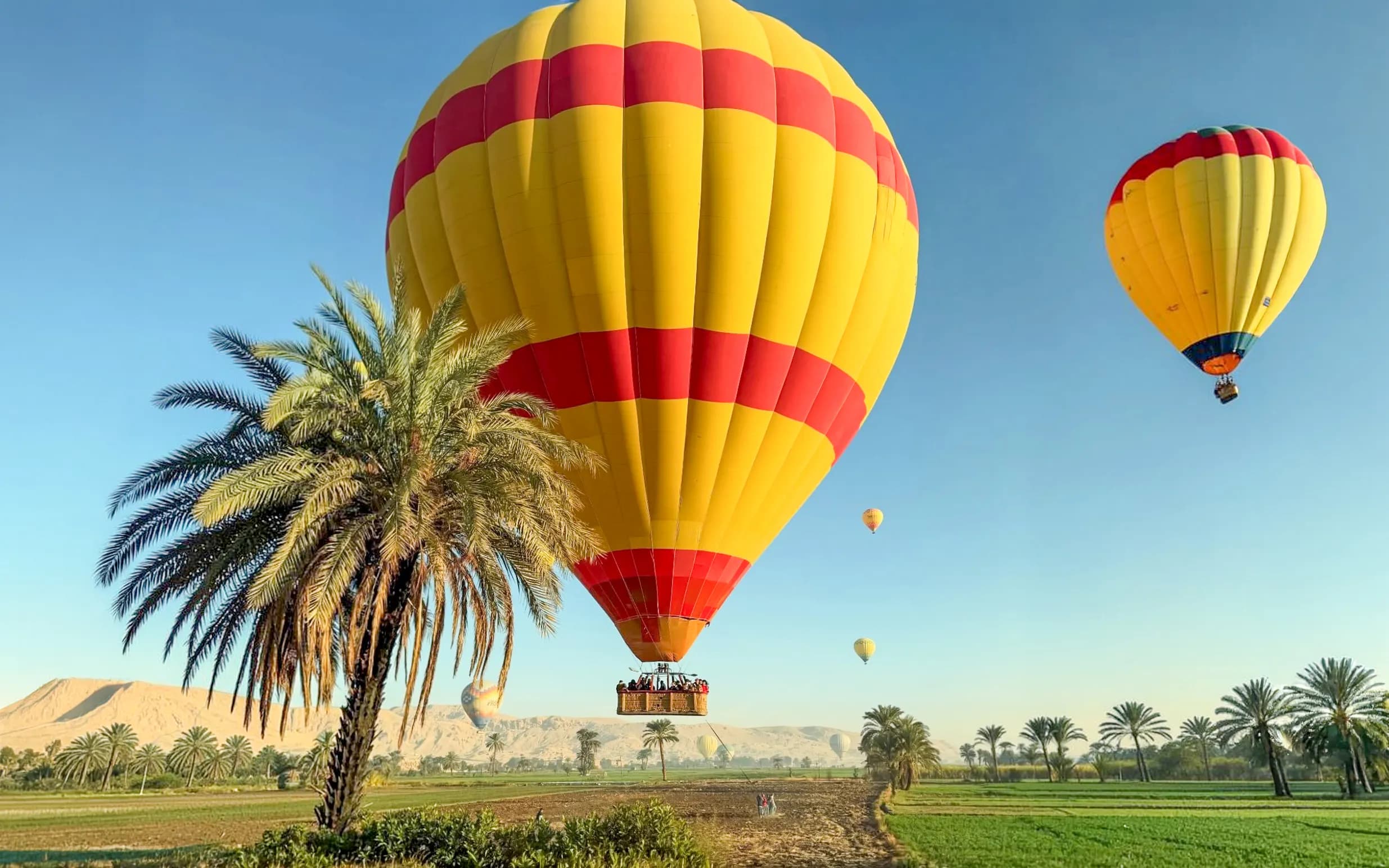 Sunrise Hot Air Balloon Ride in Luxor with Round-Trip Hotel Transfers - image 9