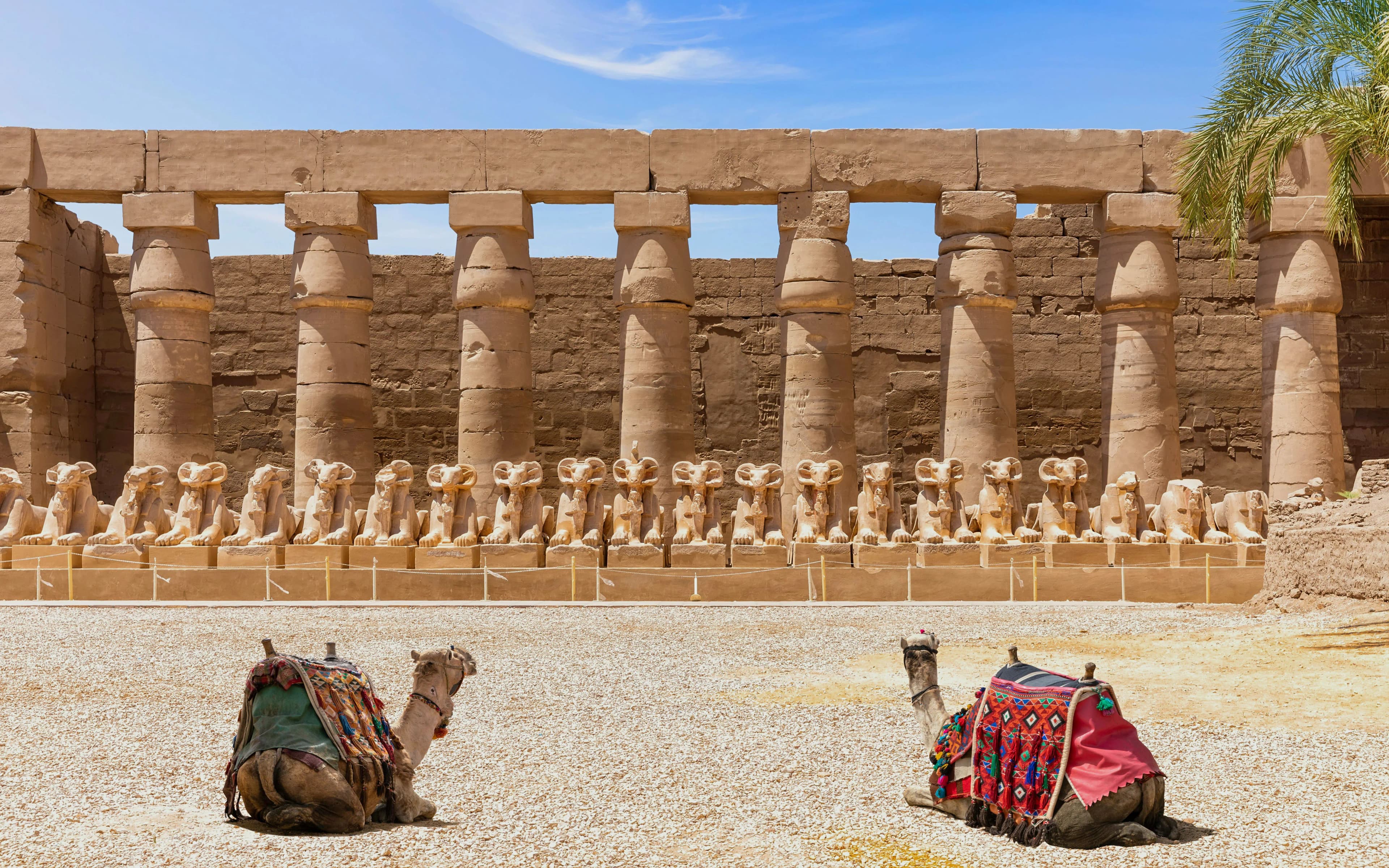Luxor Sunrise Hot-Air Balloon + Full-Day East & West Banks Guided Tour with Optional Tickets - image 10