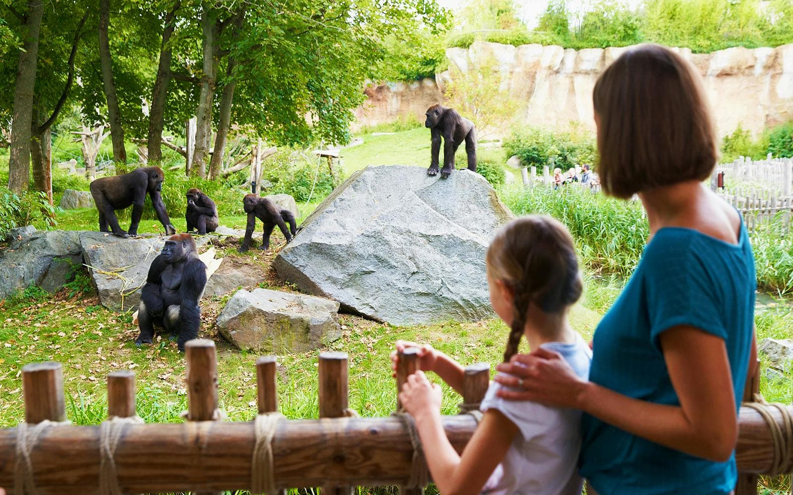Biglietti per lo Zoo di Lipsia - image 2