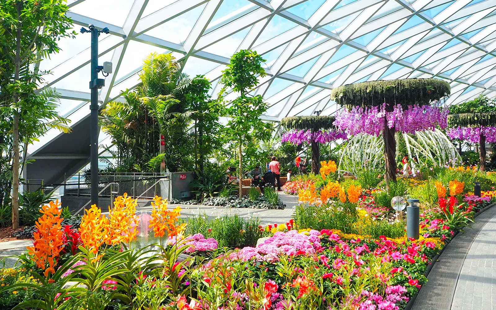 Jewel Changi Canopy Park bilety z siatkami - image 10