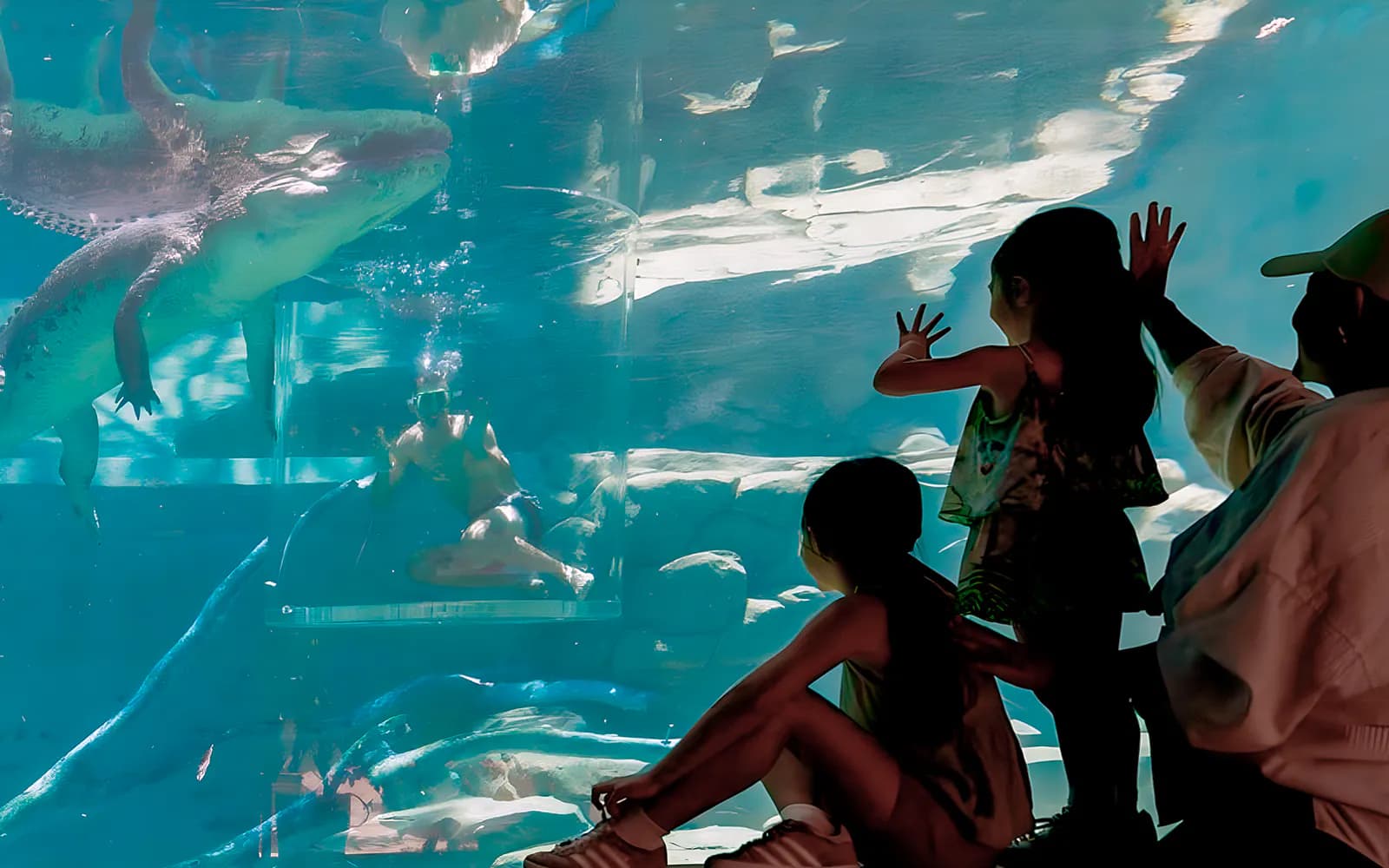 Crocosaurus Cove Tickets with Cage of Death Experience - image 9