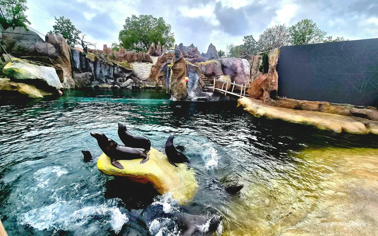 Bilety do Zoo w Lipsku - image 2