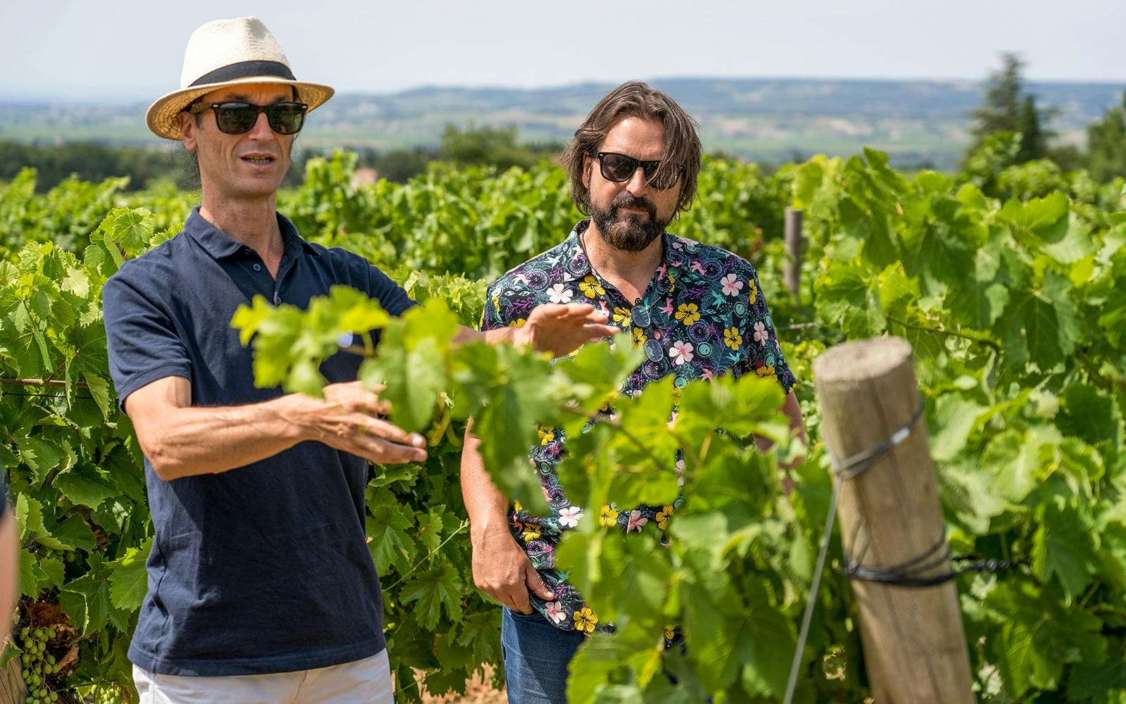 Von Avignon aus: Weintour nach Châteauneuf-du-Pape - image 3