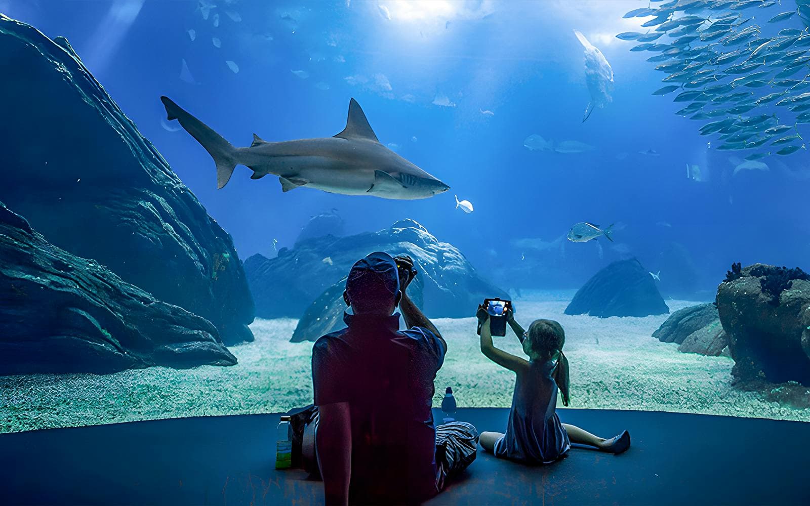 Entradas Oceanário de Lisboa - image 2