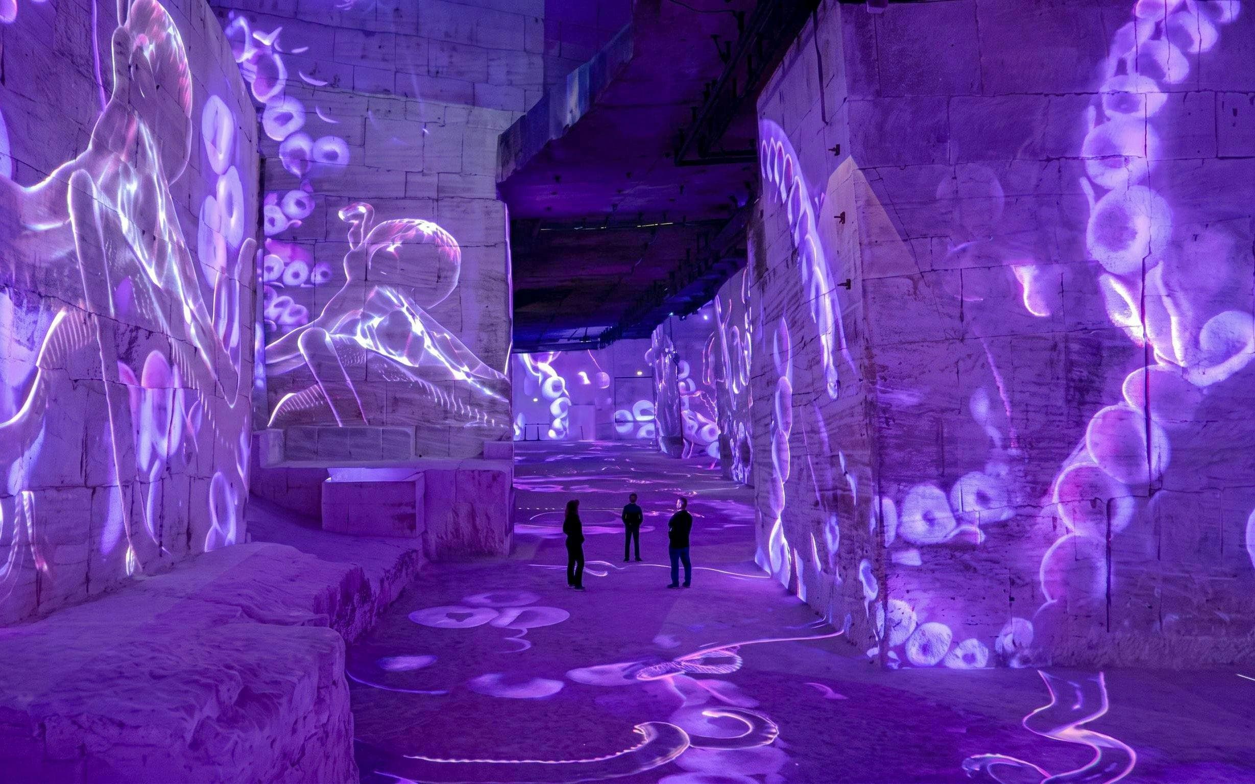 Carrières des Lumières Immersive Experience Tickets - image 3