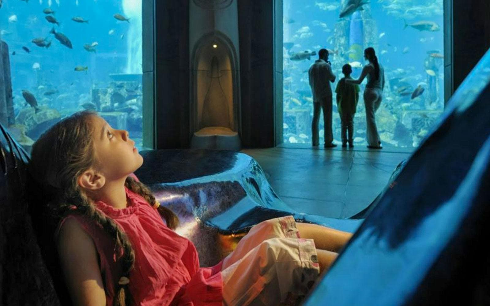Billets pour l'aquarium The Lost World (anciennement The Lost Chambers) - image 6