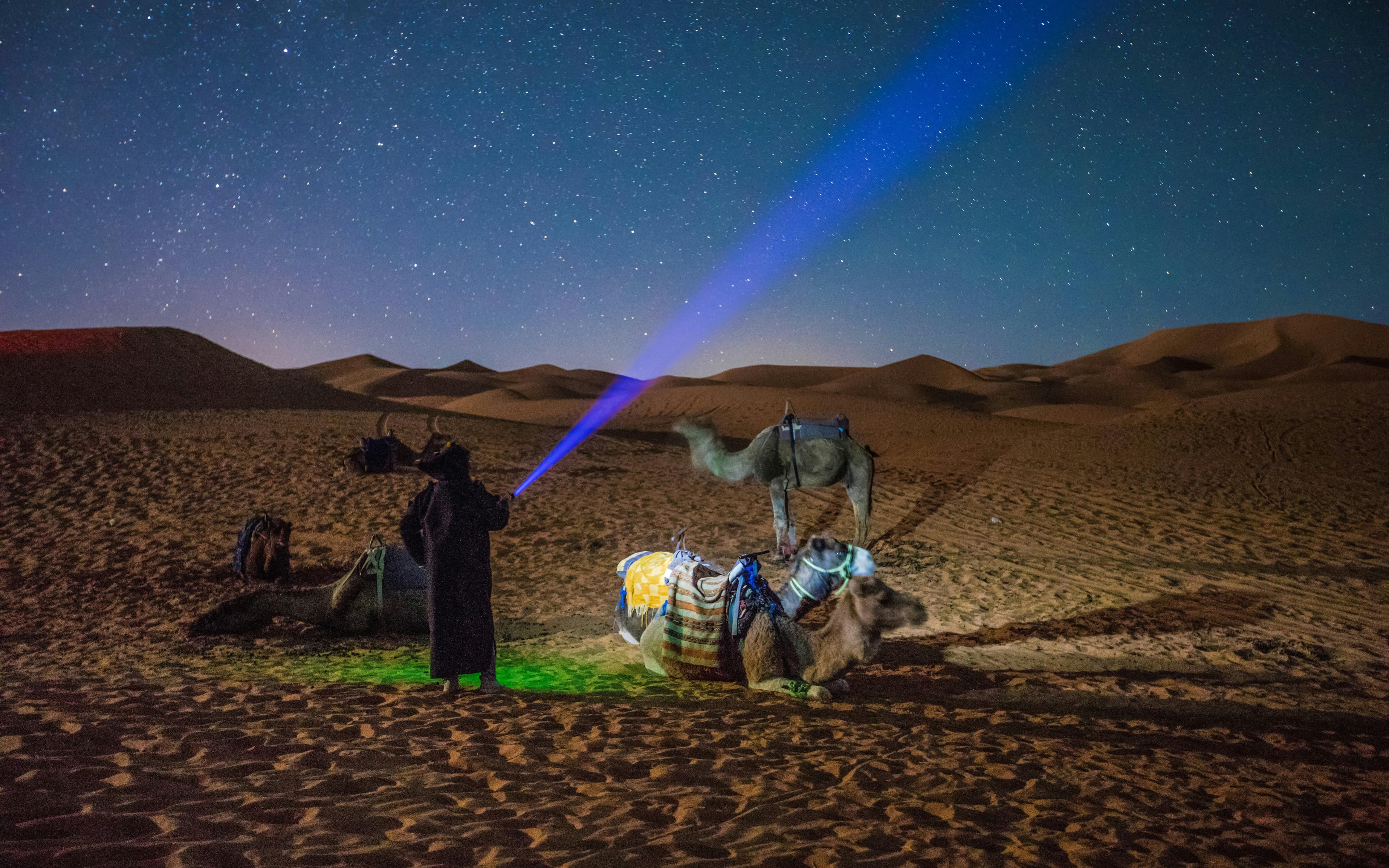 Safari nocturno por el desierto de Doha con observación de estrellas, sandboard, conducción por las dunas y visita al mar interior - image 3