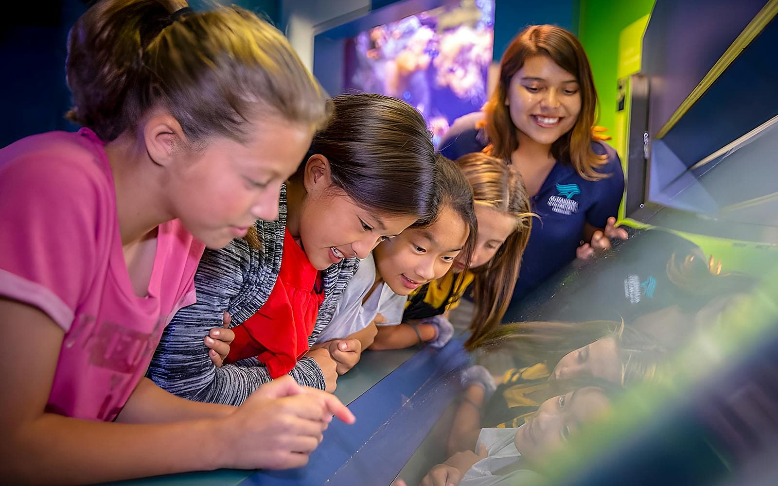 Aquarium of the Pacific Schnelleinlass-Tickets - image 5