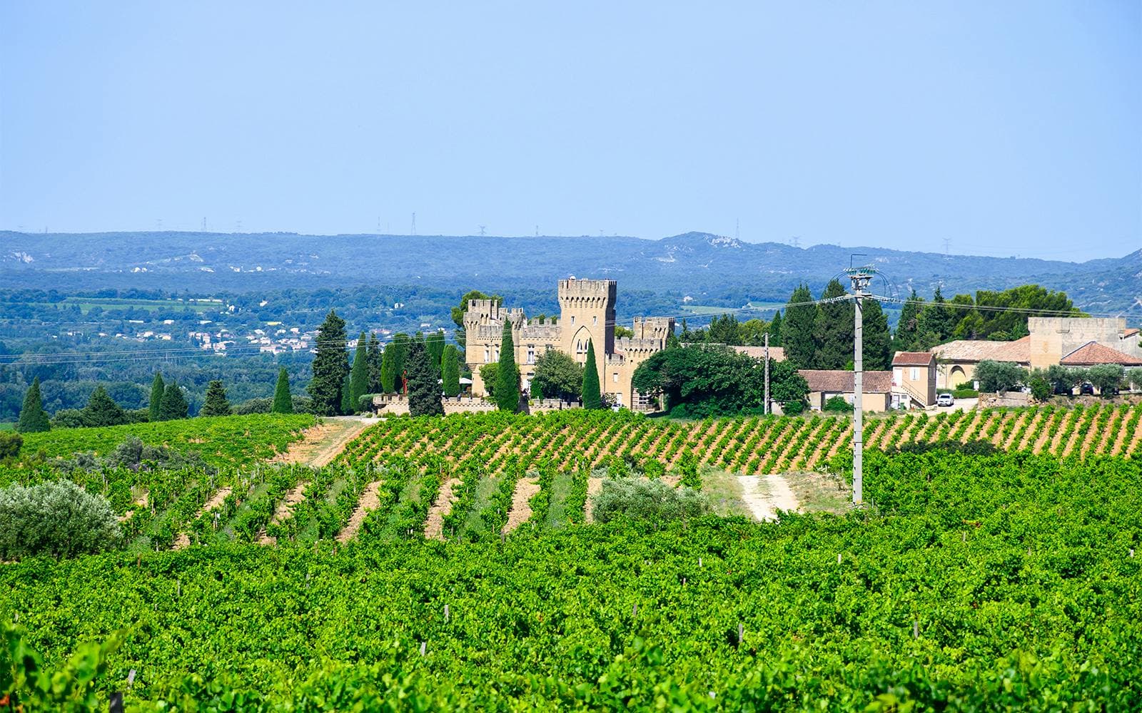 Von Avignon aus: Weintour nach Châteauneuf-du-Pape - image 2