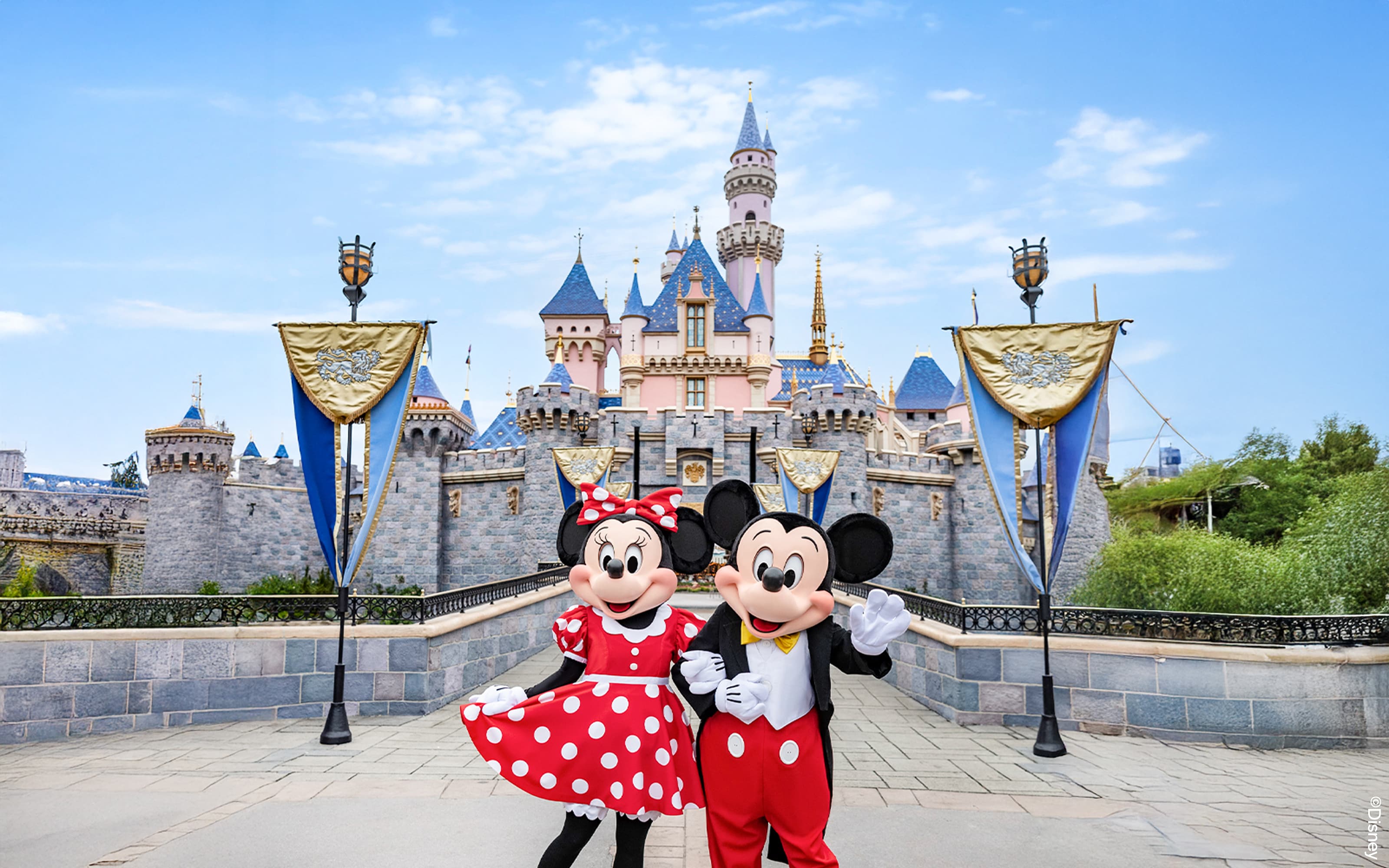 Disneyland California 1-Daagse Tickets