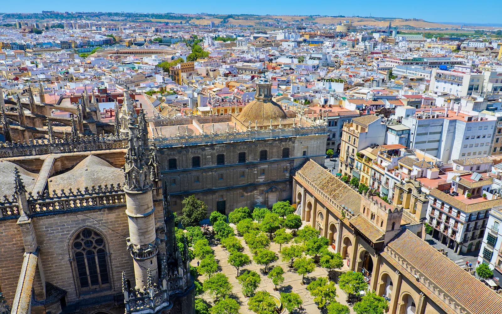 Seville Cathedral & La Giralda Skip-the-Line Guided Tour - image 5