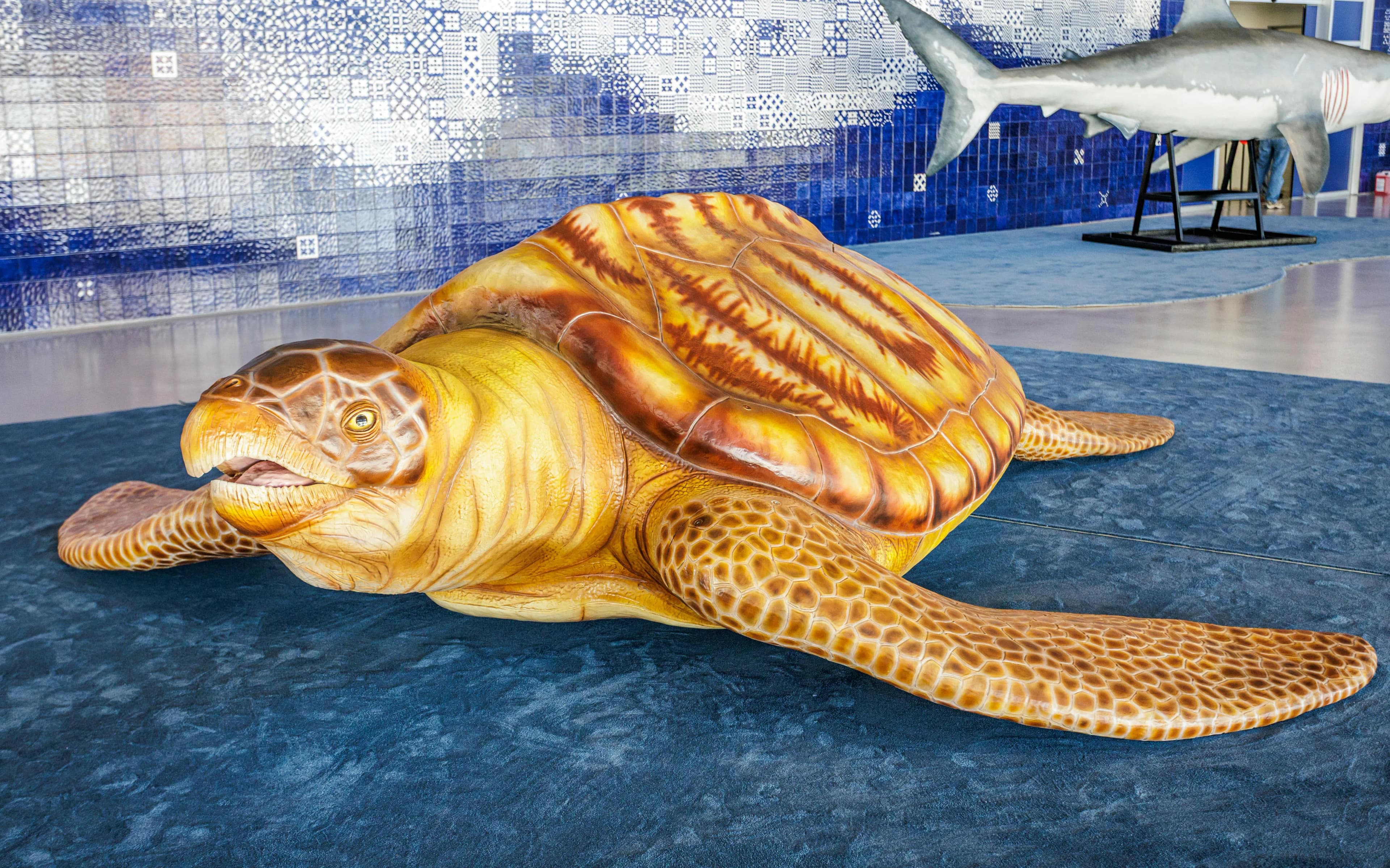 Oceanário de Lisboa Bilety - image 6
