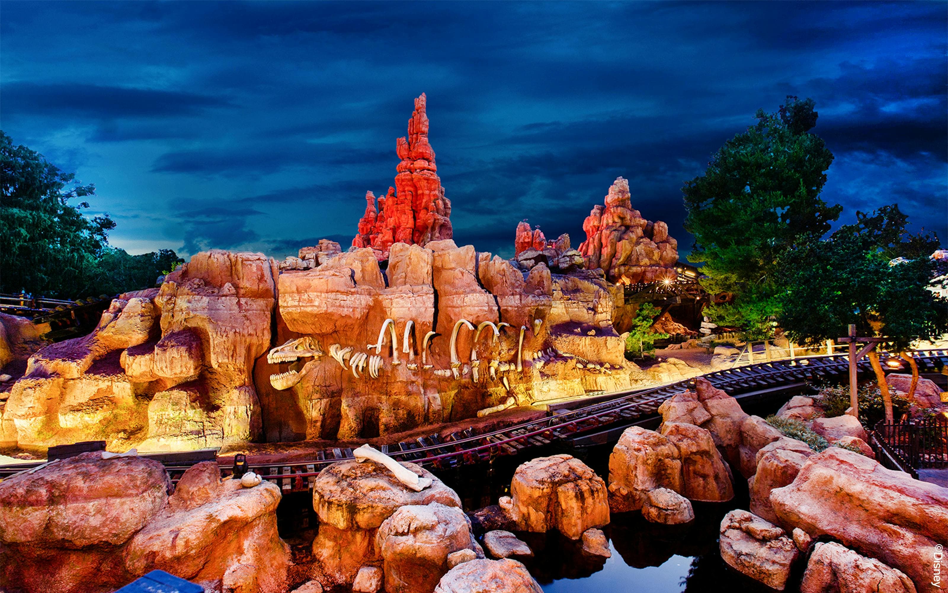 Disneyland Kalifornien 1-Tages-Tickets - image 5