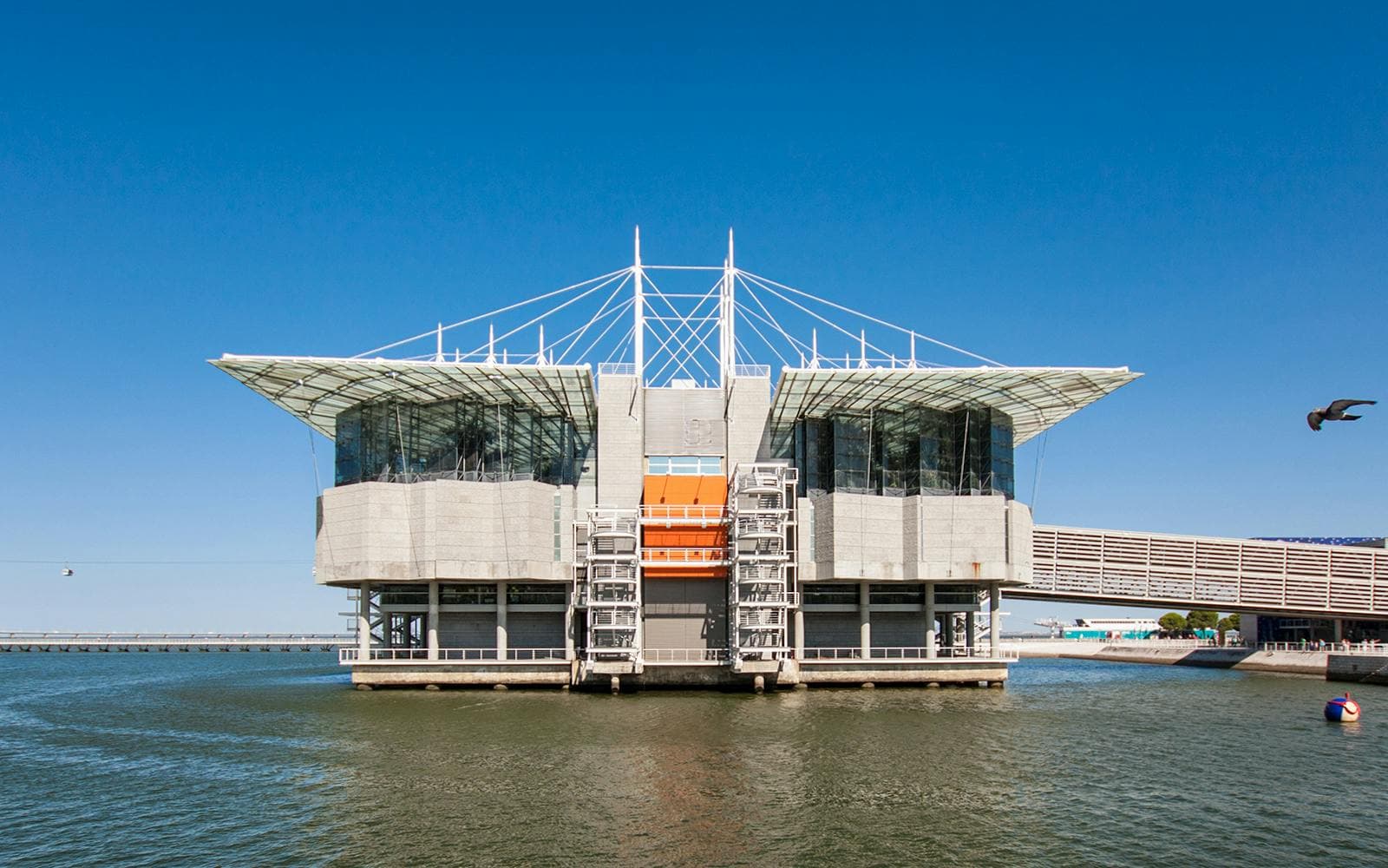 Entradas Oceanário de Lisboa - image 5