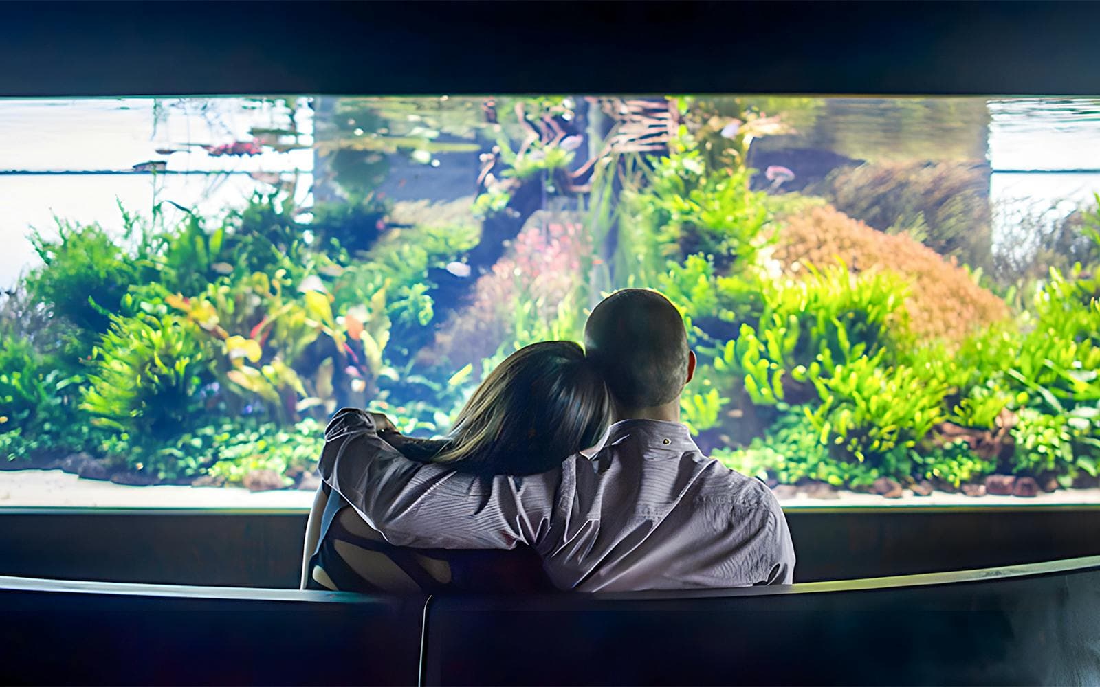Entradas Oceanário de Lisboa - image 3