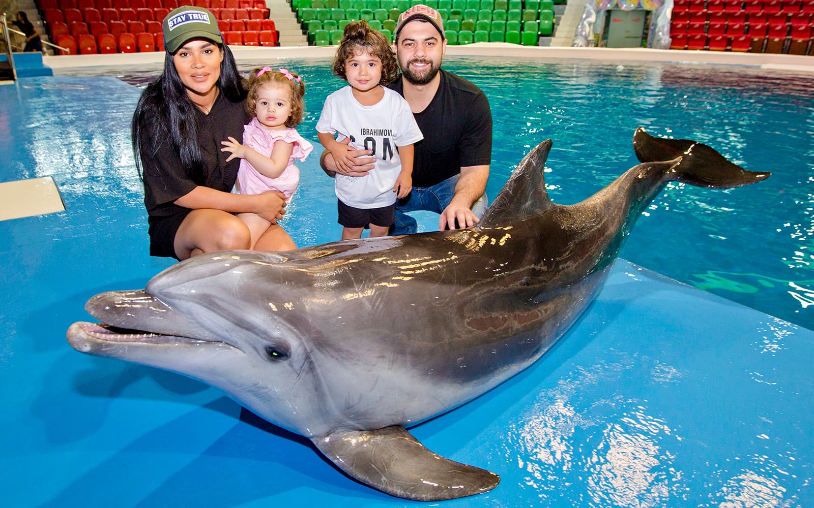 Dubai Dolphinarium: Tickets für die Delfin- und Robbenshow - image 3