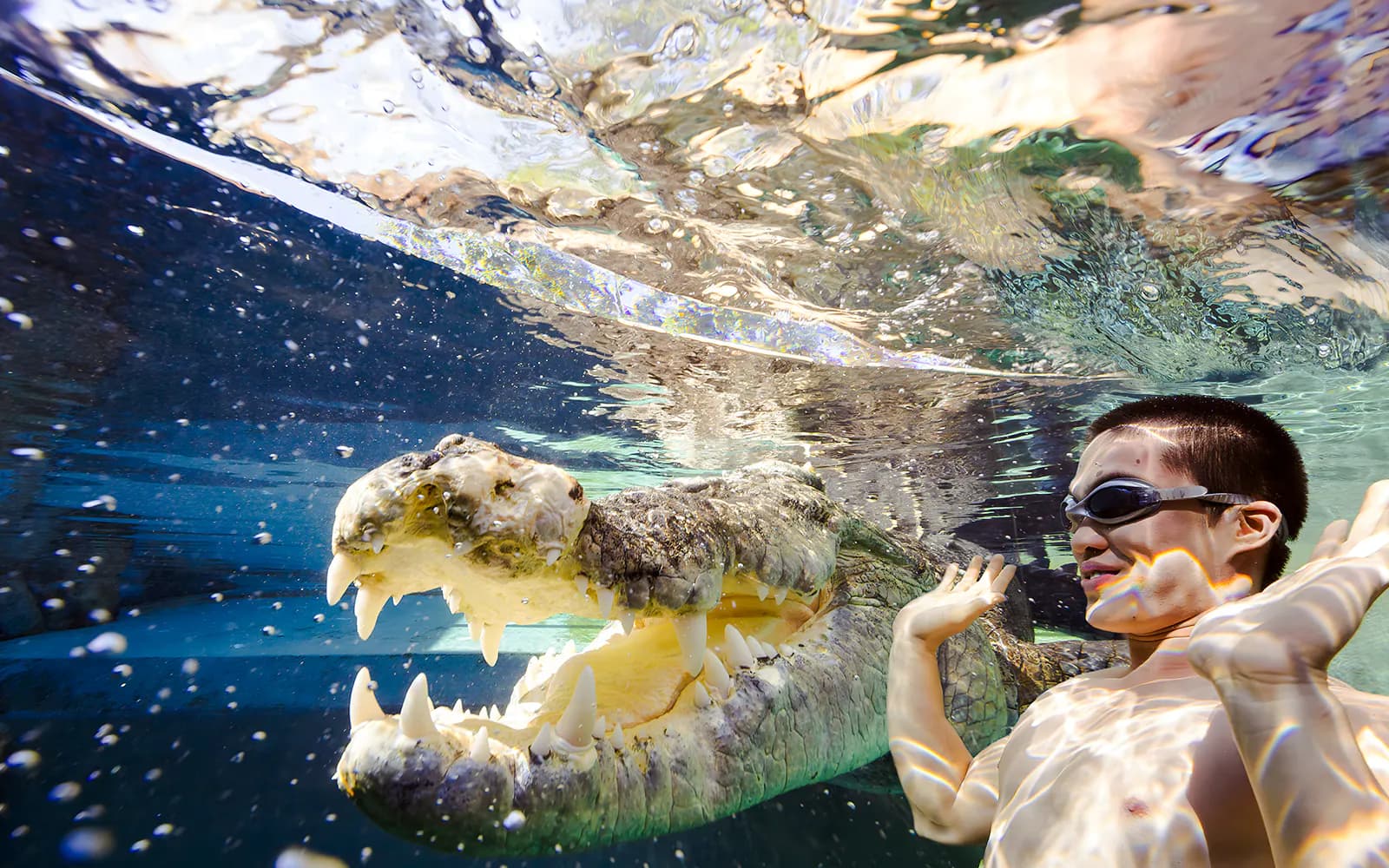 Crocosaurus Cove Tickets with Cage of Death Experience - image 8