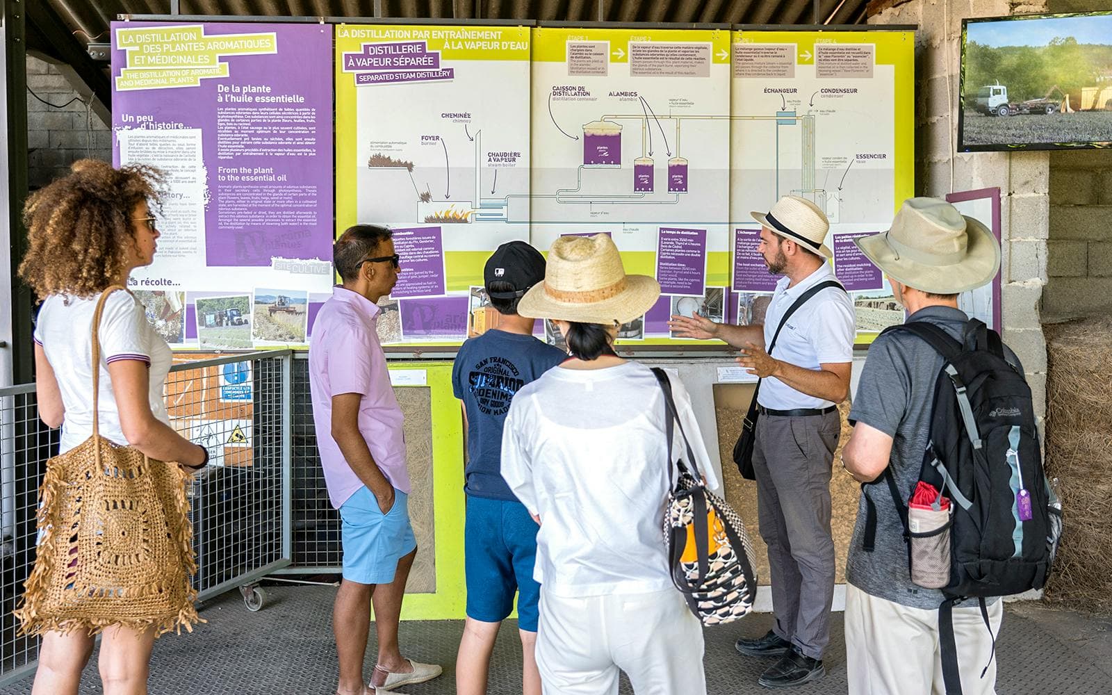 Vanuit Marseille: dagtour langs de lavendelvelden - image 4