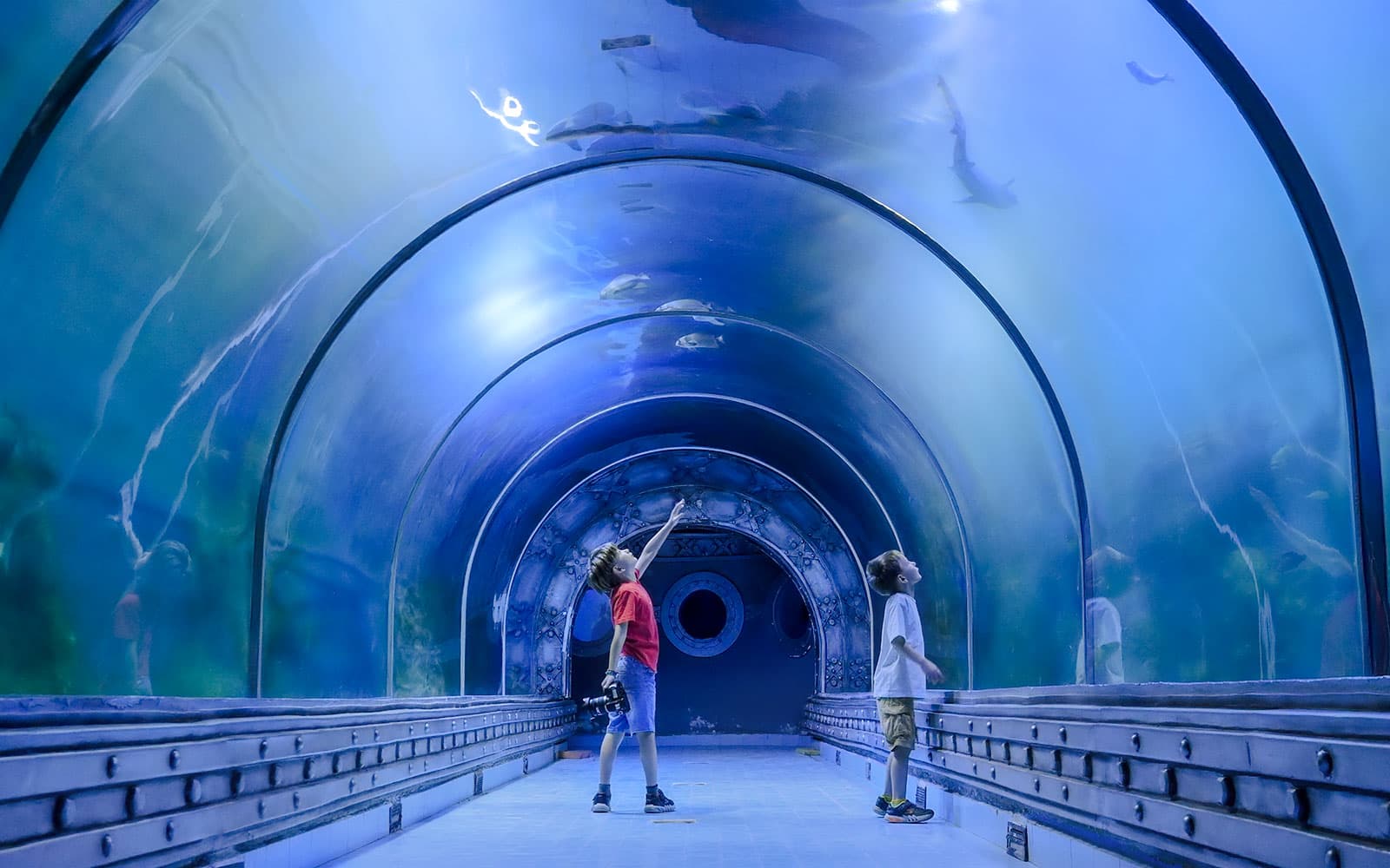Billets d'entrée au Grand Aquarium d'Hurghada