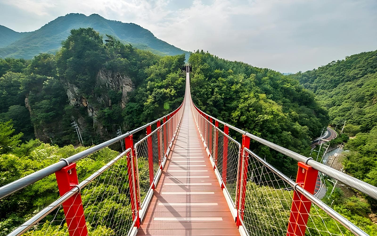 DMZ Full-Day Tour with Suspension Bridge Visit
