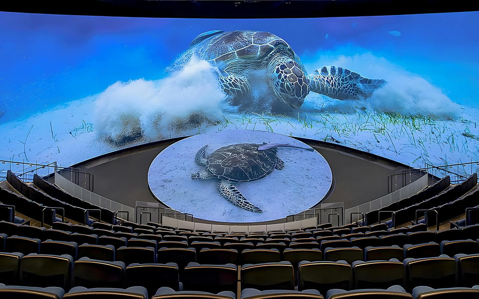 Aquarium of the Pacific Schnelleinlass-Tickets - image 10