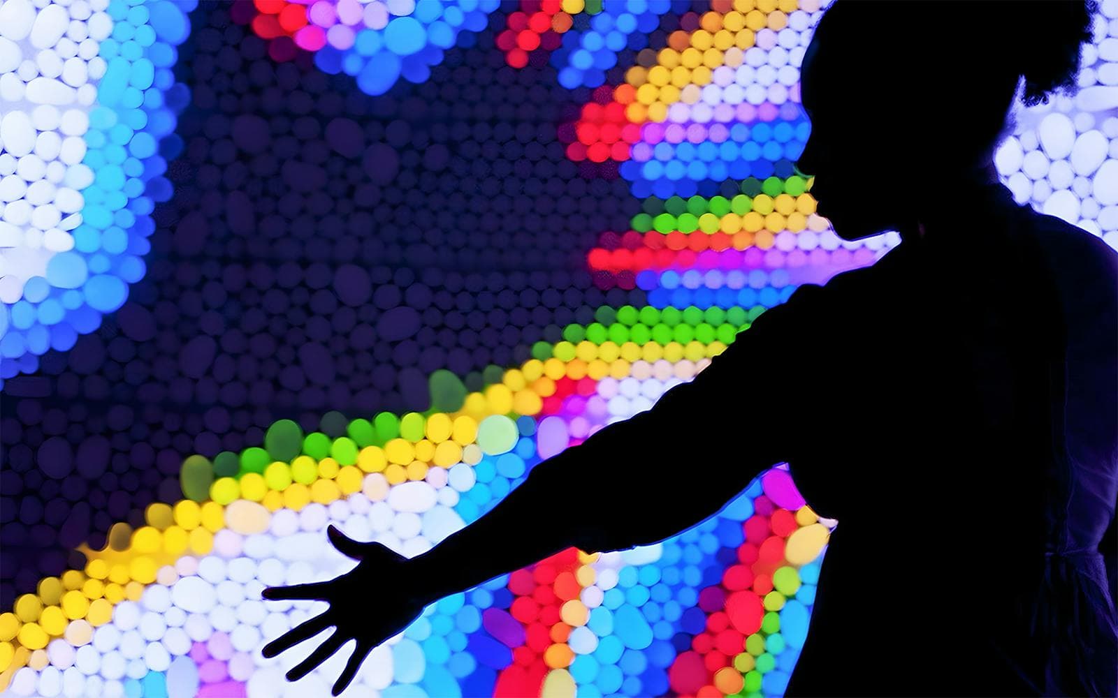 Billets pour l'Exploratorium - image 2