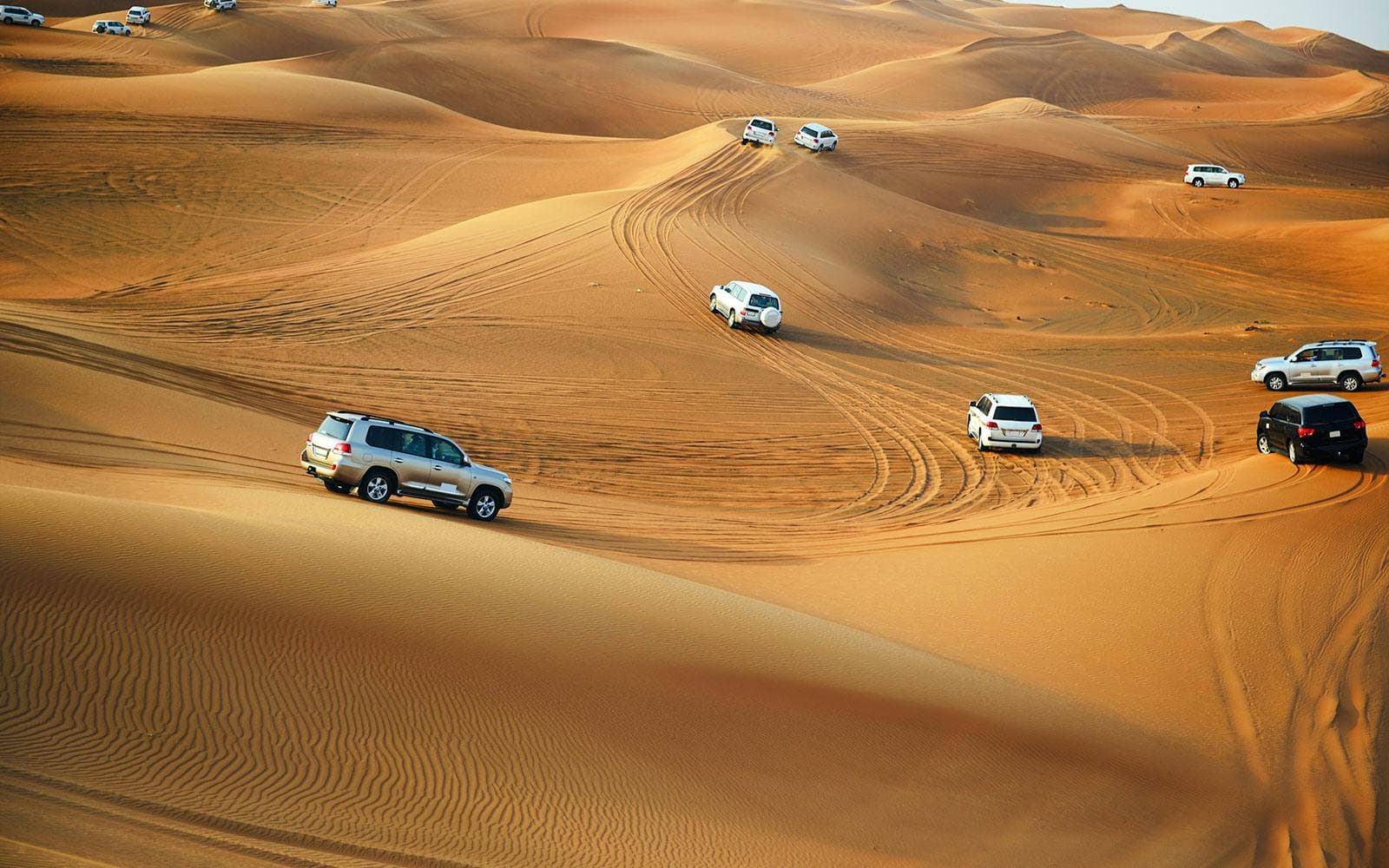 Safari por el desierto de Doha con paseo en camello: conducción por las dunas, sandboard y visita al mar interior - image 6