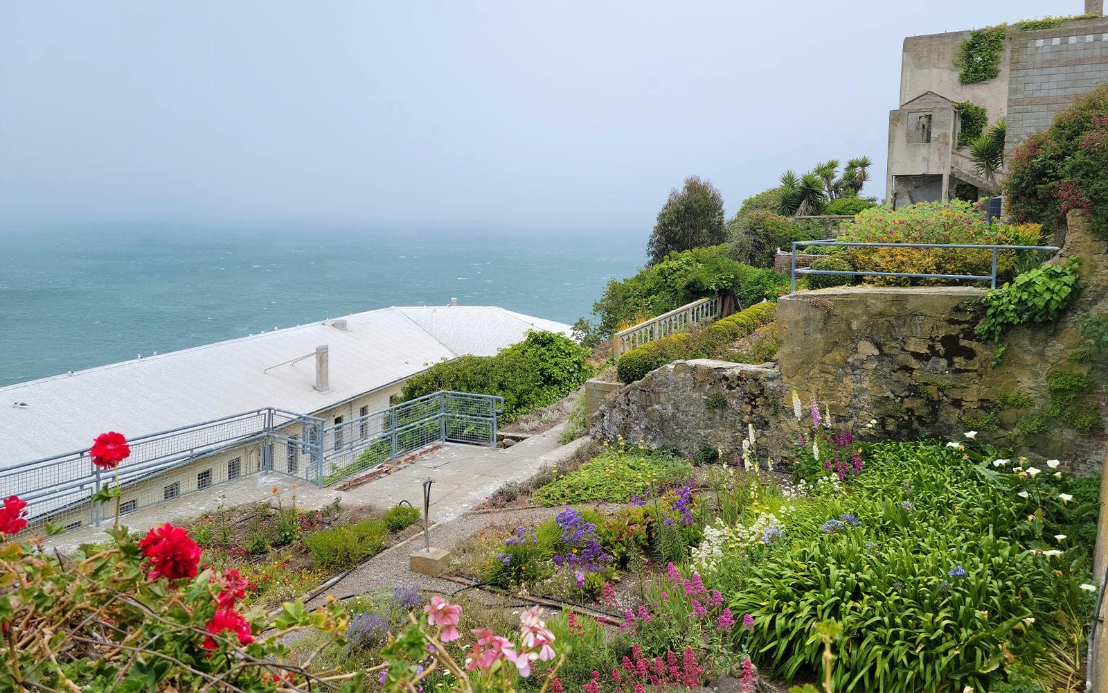 Excursion d'une journée à Alcatraz - image 5