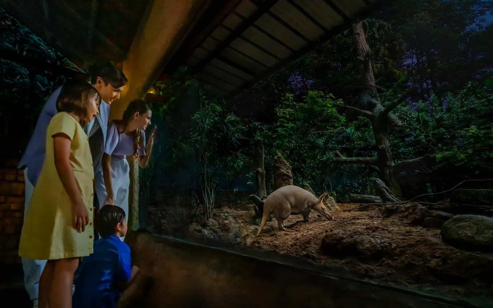 Bilety na nocne safari z przejażdżką tramwajem - image 9