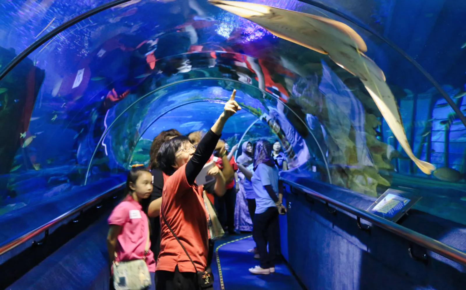 Ingressos para o Aquaria KLCC - image 6