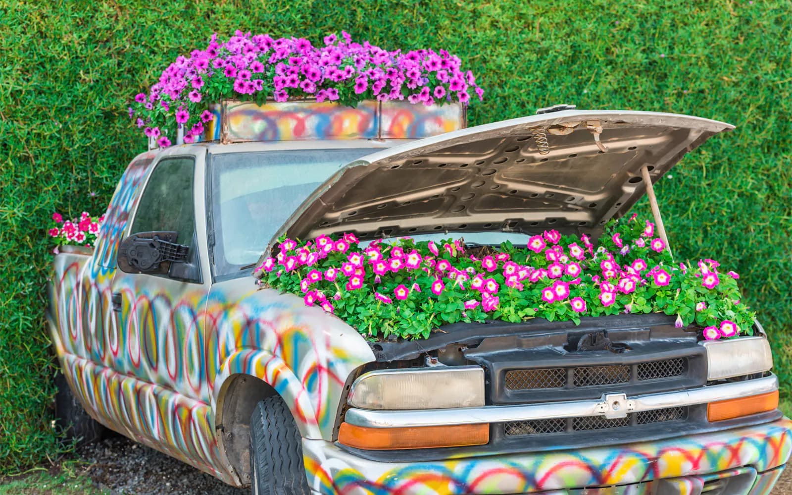 Dubai Miracle Garden Skip-the-Line Tickets - image 8