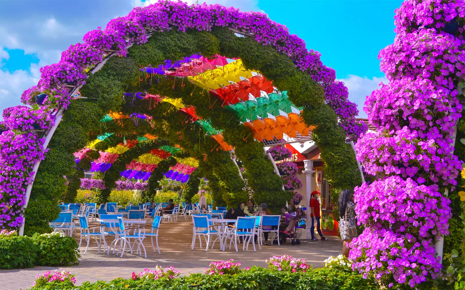 Dubai Miracle Garden Skip-the-Line Tickets - image 6
