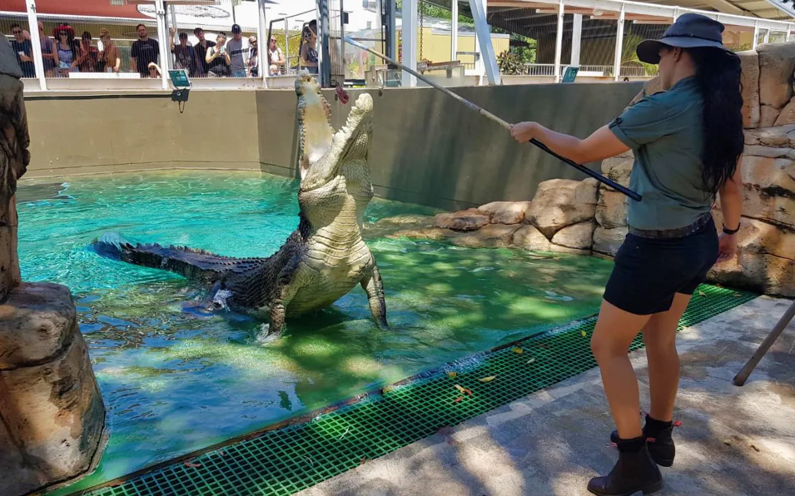 Crocosaurus Cove Tickets - image 6